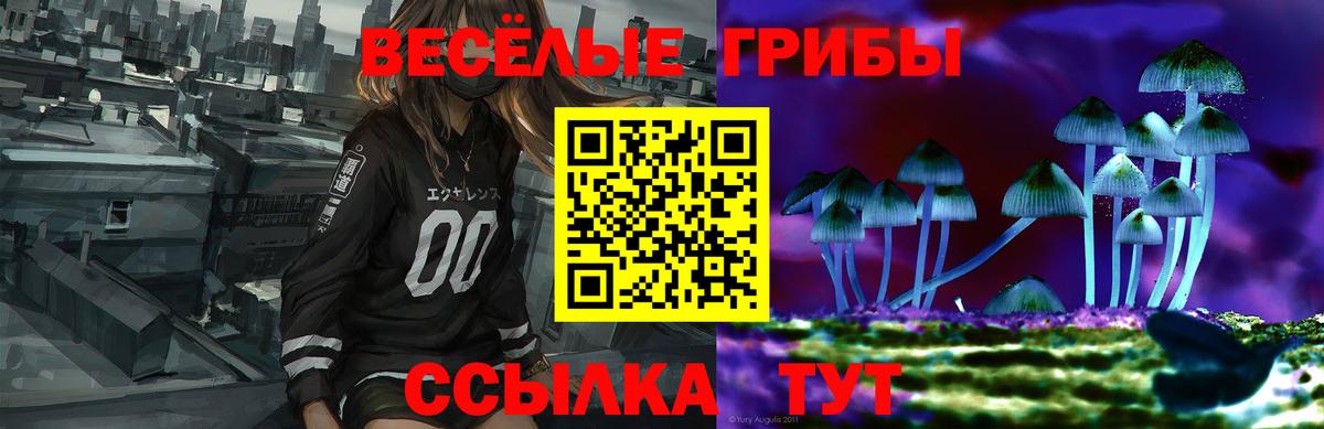 Галлюциногенные грибы Magic Shrooms Кинель