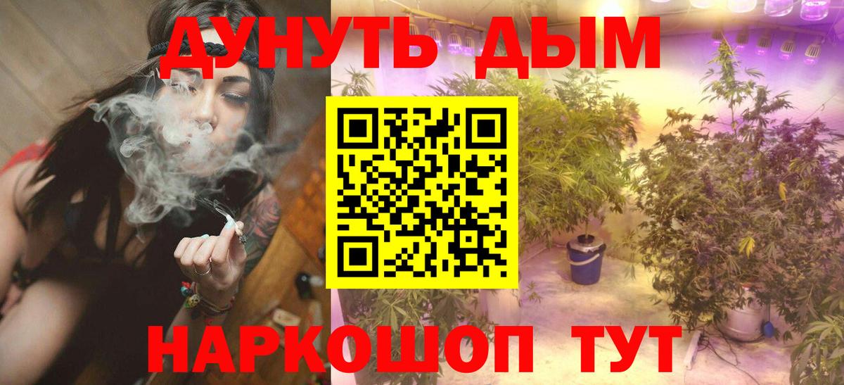 Бошки Шишки AK-47  Вход с VPN  Конопля White Widow  Кинель  Каннабис сатива  Бошки Шишки OG Kush 